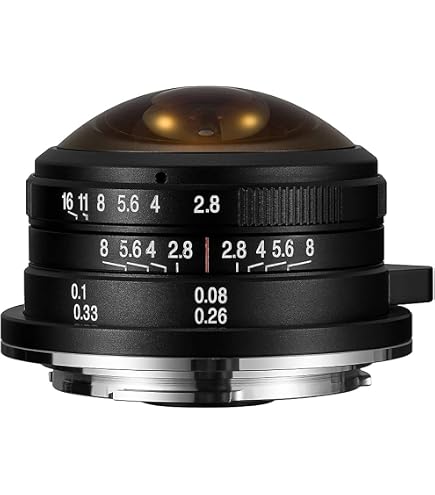Amazon.com : Venus Laowa 4mm f/2.8 Circular Fisheye Lens for Micro
